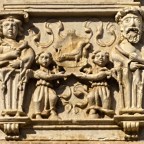 Ocells d’estar per casa