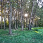 Ruta dels Molins Fariners de Calldetenes