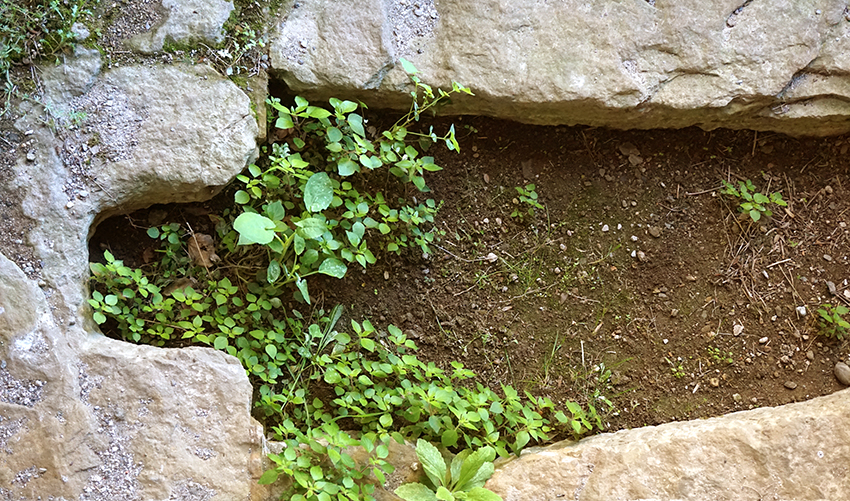 Tomba antropomòrfica que vol dir que té forma de cos humà