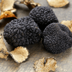 Vine al Trufforum de Vic