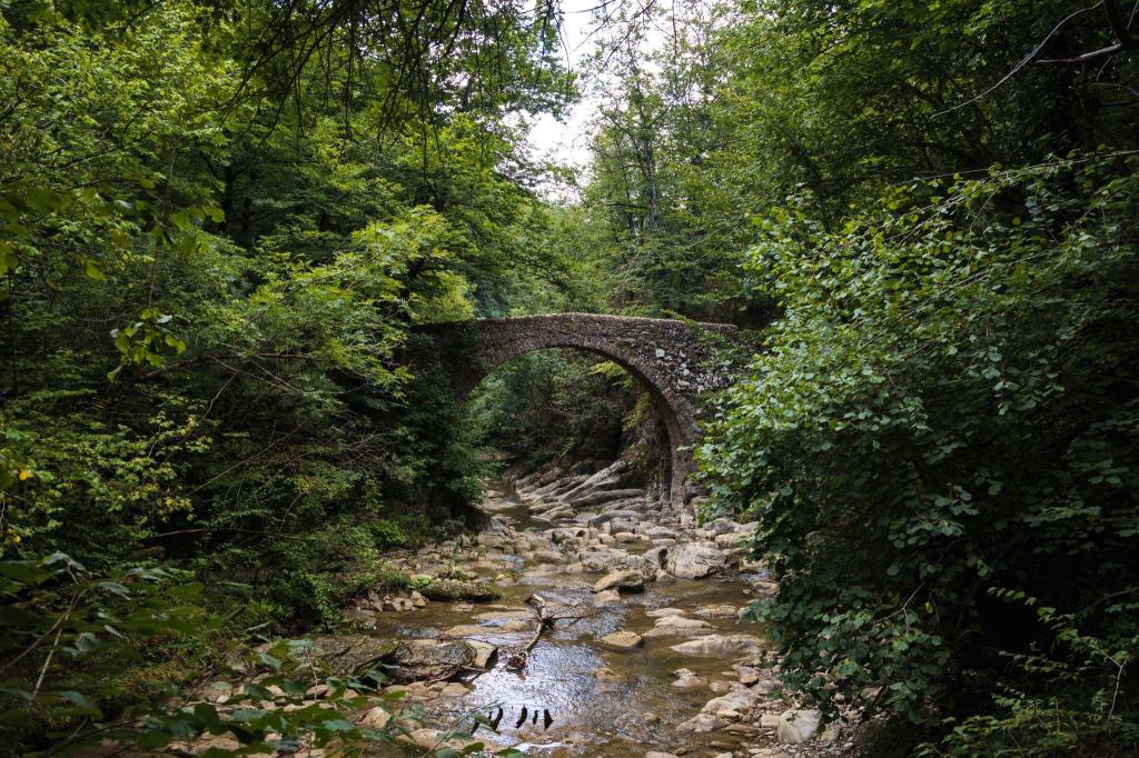 Entorn de Vidrà. El seu pont.