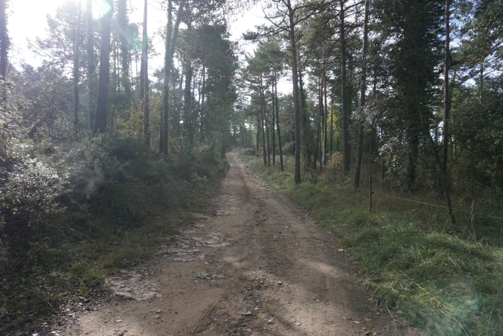 Ruta Camins de Verdaguer.