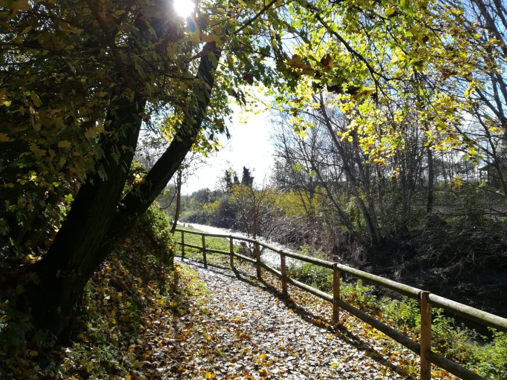 Sender Via Verda de Vic