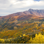 3 rutes per fer amb nens a Osona