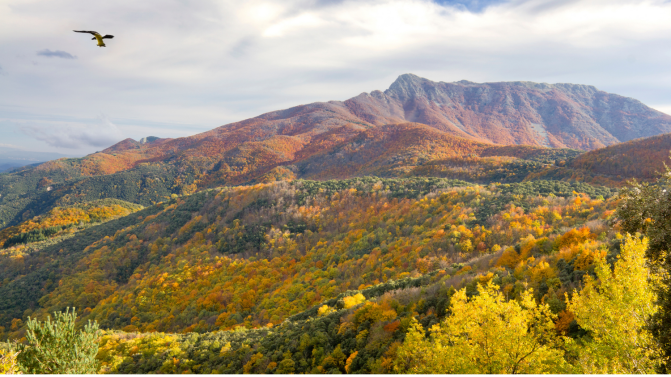 Foto del Parc Natural del Montseny