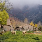 5 pobles a prop de Vic per visitar a la tardor